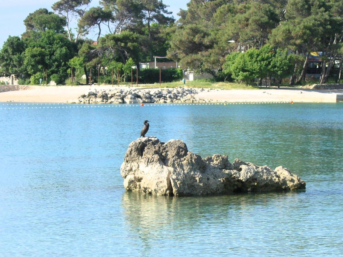 Apartment Danilo Krk Town Εξωτερικό φωτογραφία